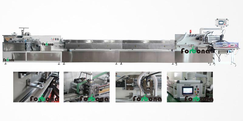 FBN-01S Automatic Cotton Swab Machine